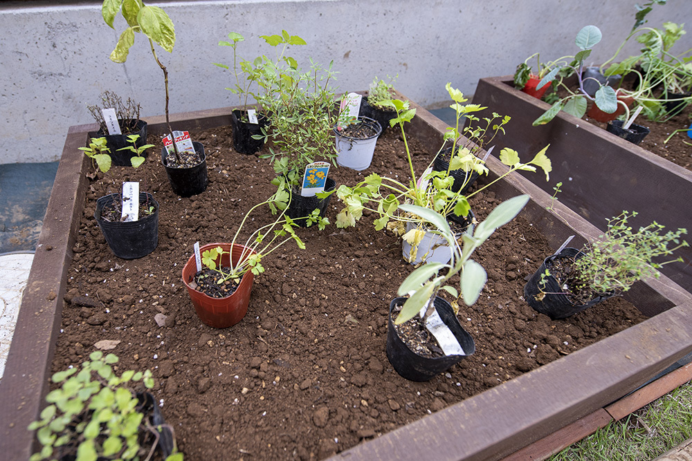 GARDENSGARDEN 坂戸・鶴ヶ島　施工事例　キッチンガーデン