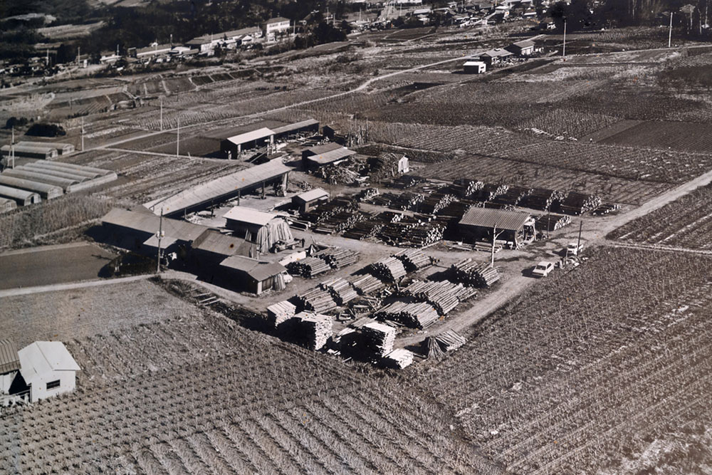 昭和40年頃　鳩山町の周辺風景と共和木材製材工場